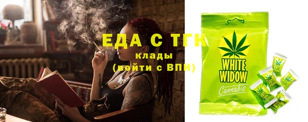 гашик Осинники