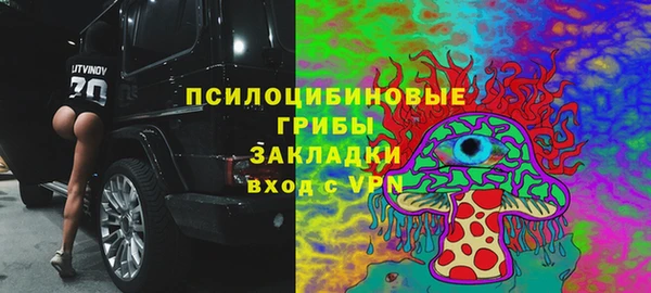 дживик Армянск